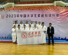 柔道夜战：东城飞鹰队强势反弹岭东犀牛队，主帅临场妙招防线高度稳定-九游体育